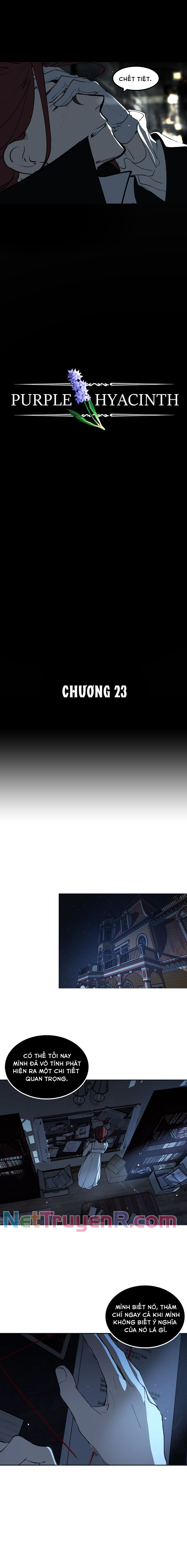 Hoa Lục Bình Tím - Chương 23.1 - Trang 5