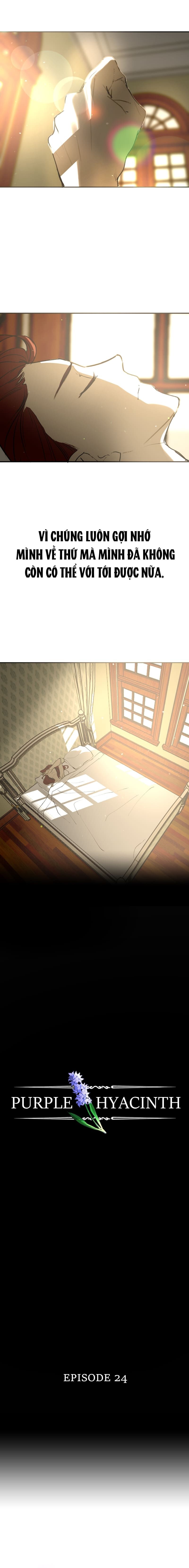 Hoa Lục Bình Tím - Chương 24.1 - Trang 3