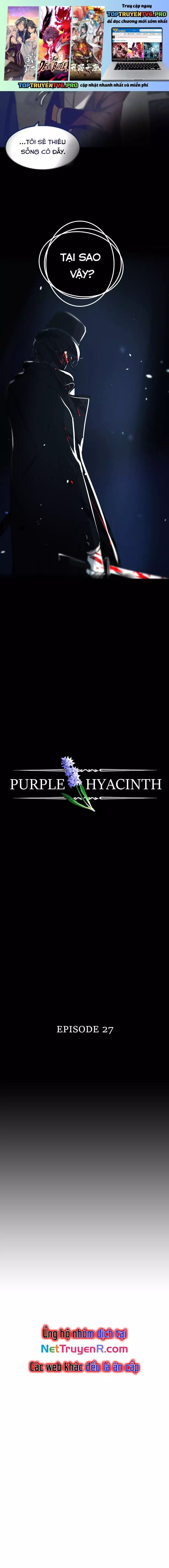 Hoa Lục Bình Tím - Chương 27.1 - Trang 2