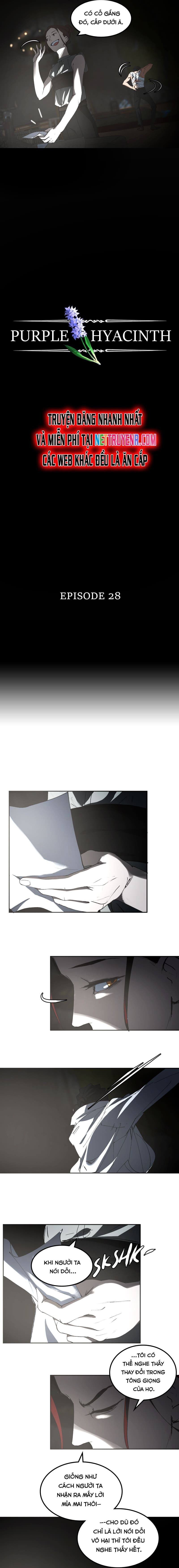 Hoa Lục Bình Tím - Chương 28 - Trang 4