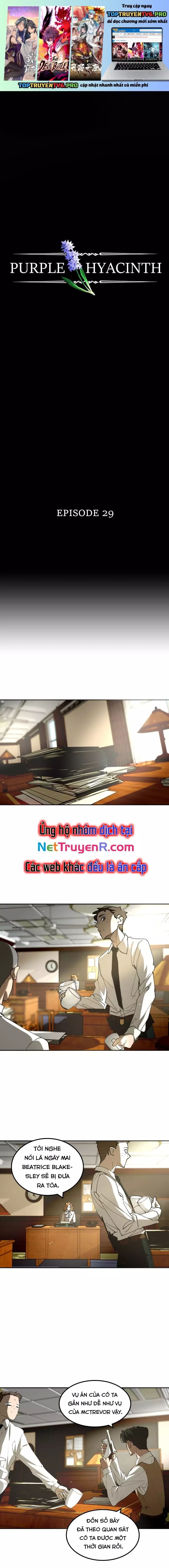 Hoa Lục Bình Tím - Chương 29 - Trang 2