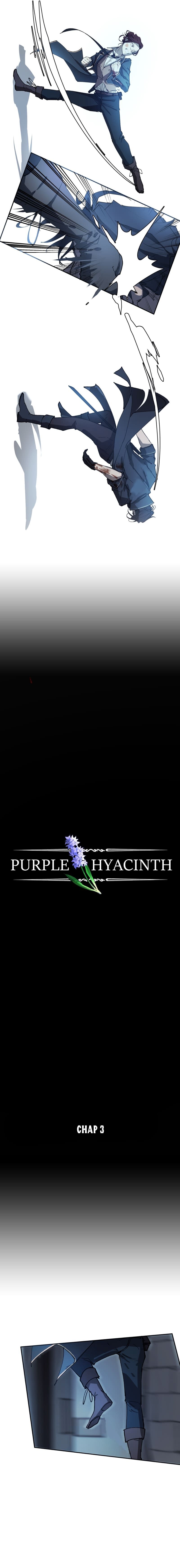 Hoa Lục Bình Tím - Chương 3 - Trang 3