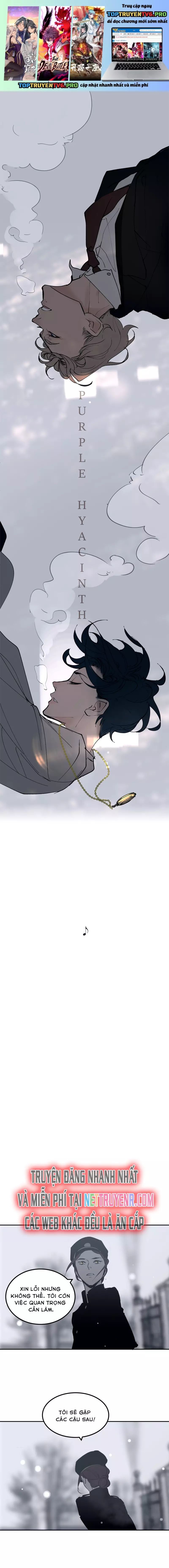 Hoa Lục Bình Tím - Chương 40 - Trang 2