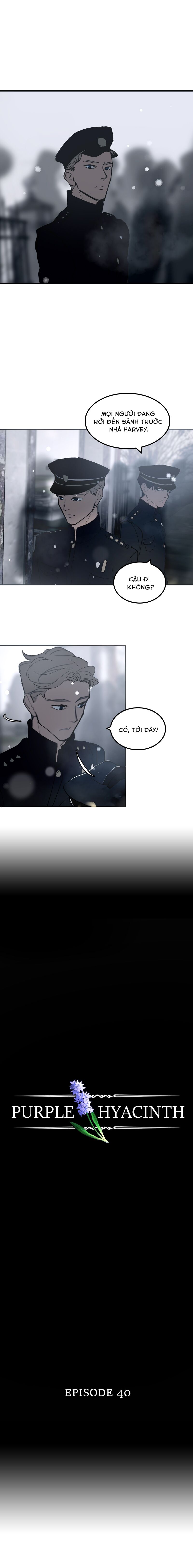 Hoa Lục Bình Tím - Chương 40 - Trang 3