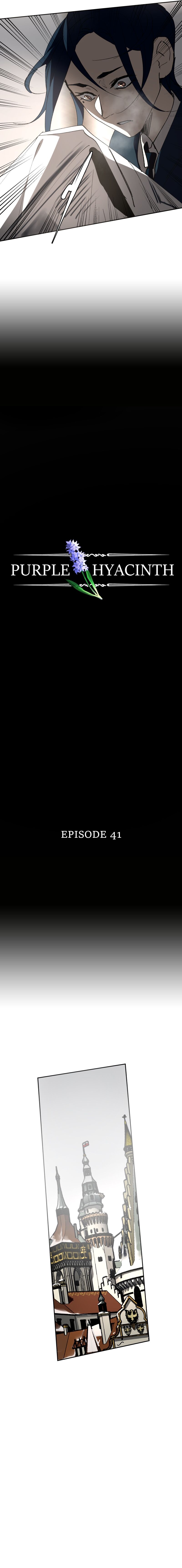 Hoa Lục Bình Tím - Chương 41 - Trang 4