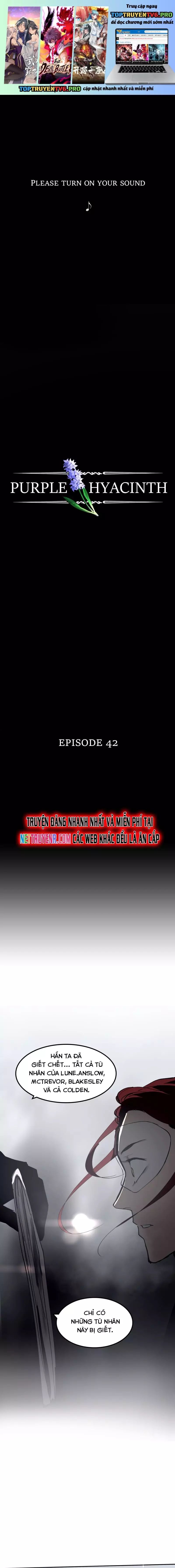 Hoa Lục Bình Tím - Chương 42 - Trang 2