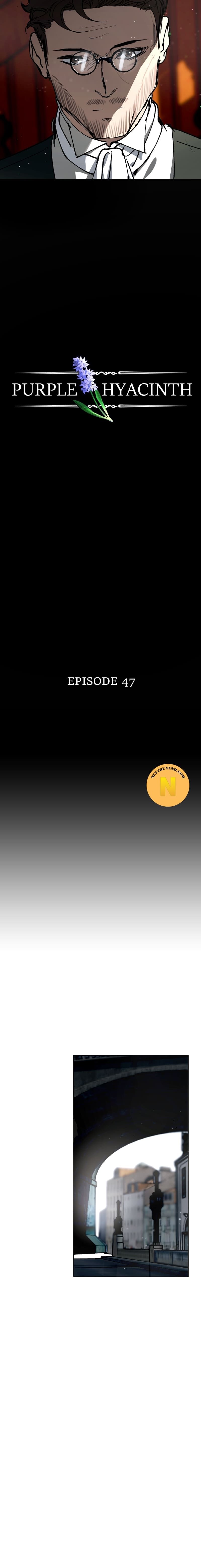 Hoa Lục Bình Tím - Chương 47.1 - Trang 3