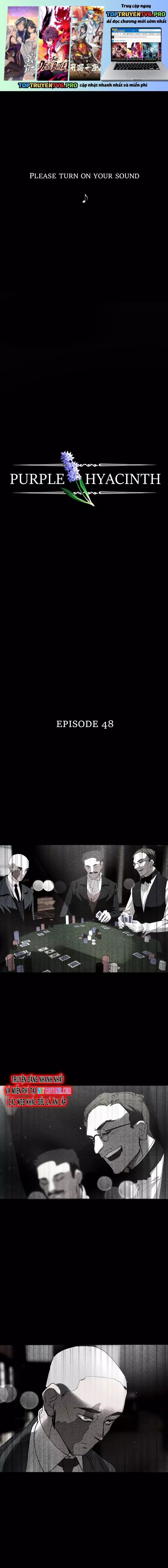Hoa Lục Bình Tím - Chương 48 - Trang 2