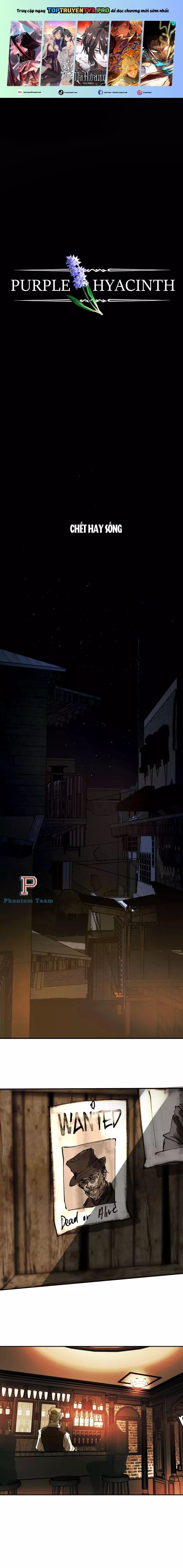 Hoa Lục Bình Tím - Chương 5 - Trang 2