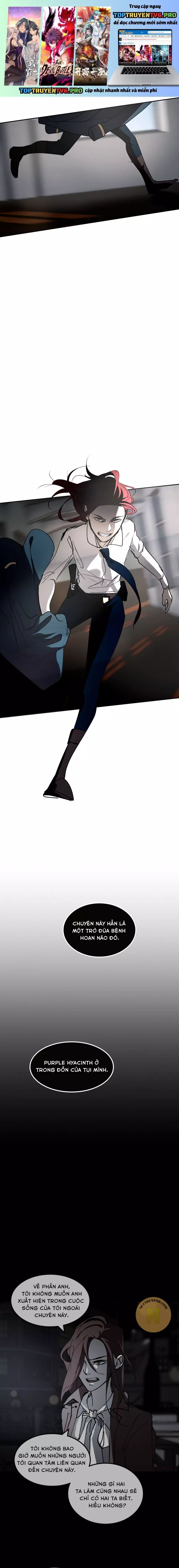 Hoa Lục Bình Tím - Chương 50.2 - Trang 2