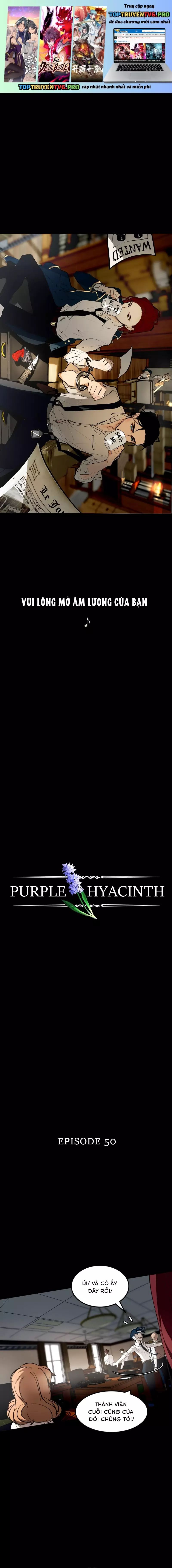 Hoa Lục Bình Tím - Chương 50 - Trang 2