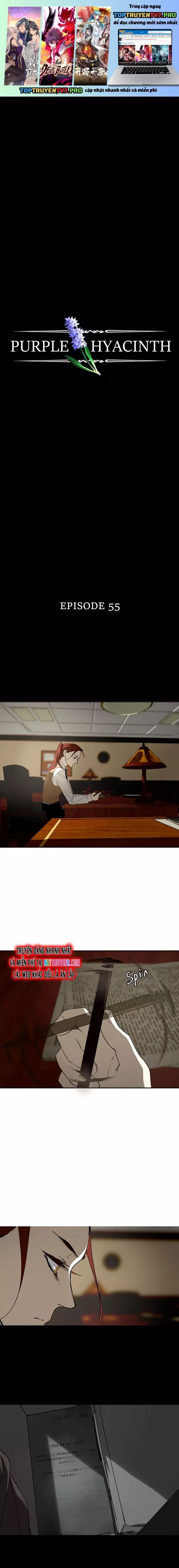 Hoa Lục Bình Tím - Chương 55 - Trang 2