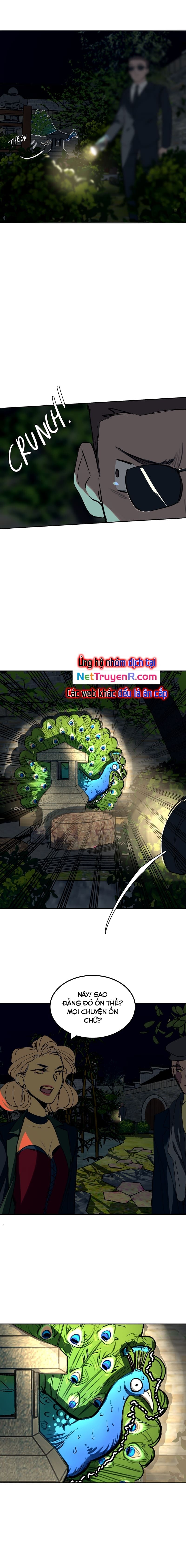 Hoa Lục Bình Tím - Chương 56 - Trang 5