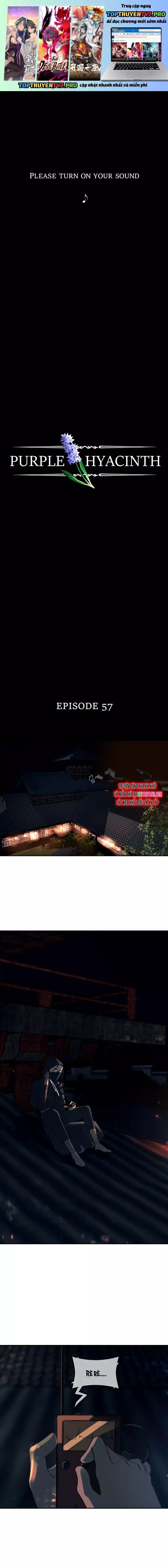 Hoa Lục Bình Tím - Chương 57 - Trang 2