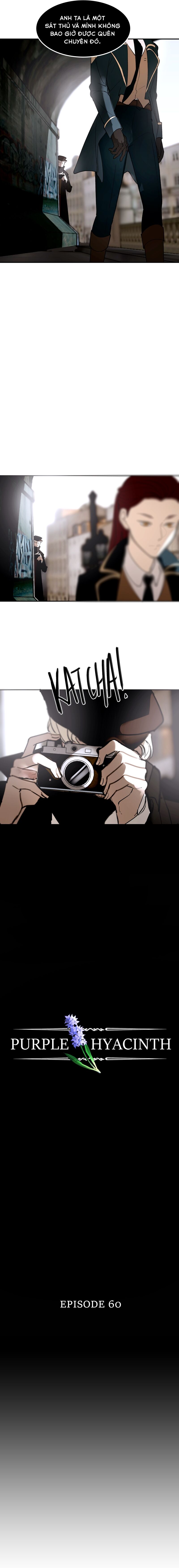 Hoa Lục Bình Tím - Chương 60 - Trang 4