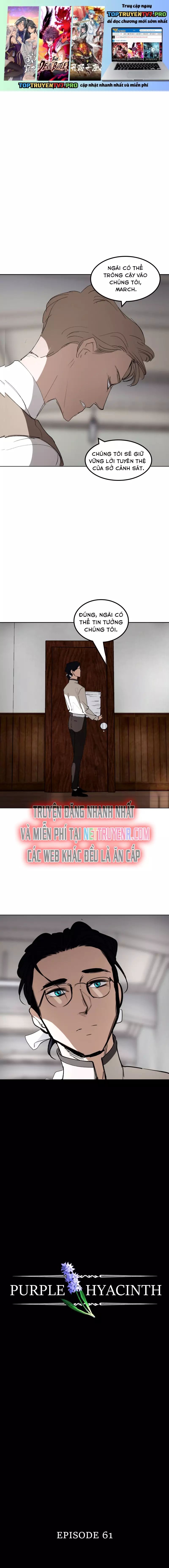 Hoa Lục Bình Tím - Chương 61 - Trang 2