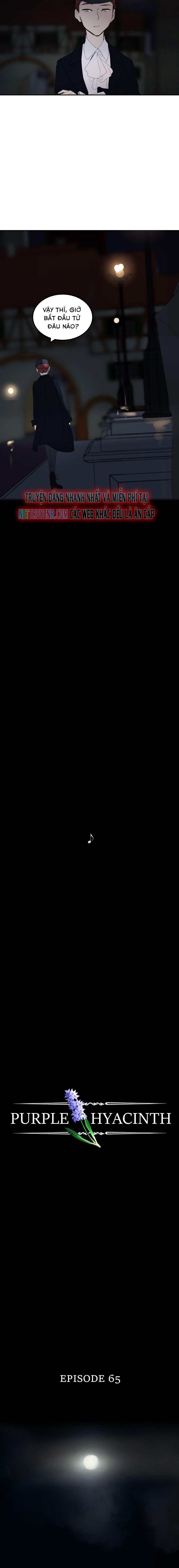 Hoa Lục Bình Tím - Chương 65 - Trang 6