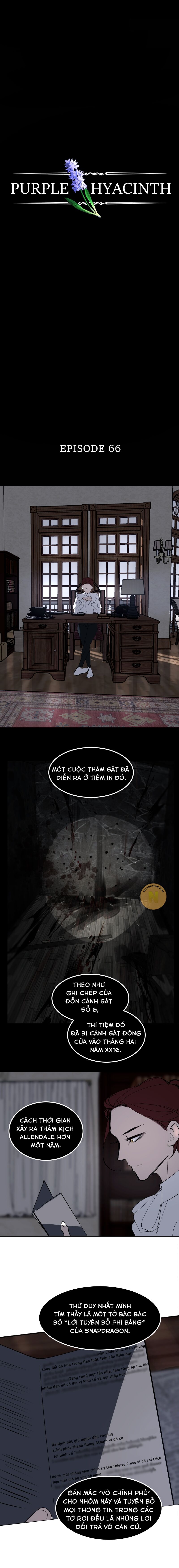 Hoa Lục Bình Tím - Chương 66 - Trang 4