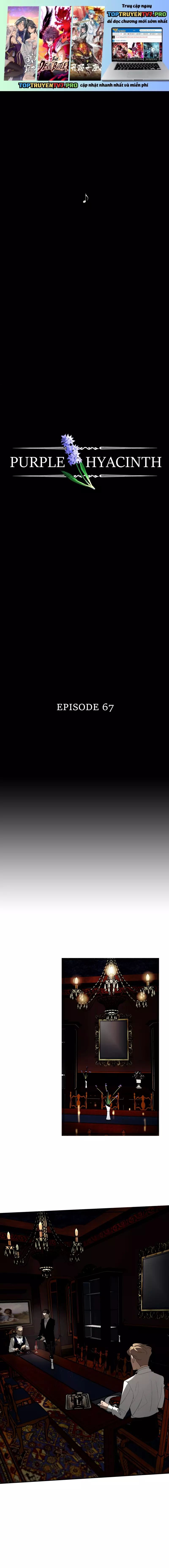 Hoa Lục Bình Tím - Chương 67 - Trang 2