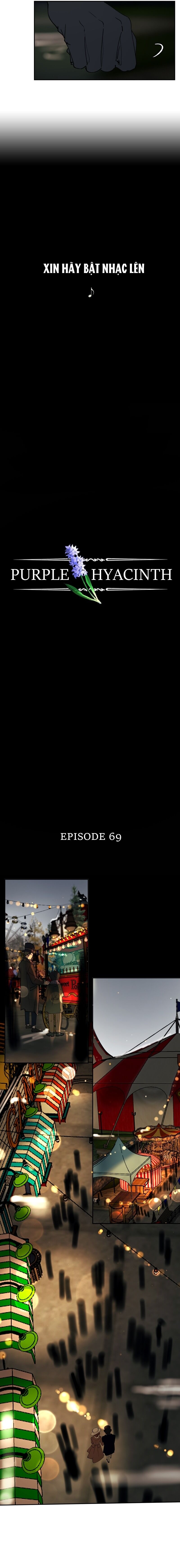 Hoa Lục Bình Tím - Chương 69 - Trang 5