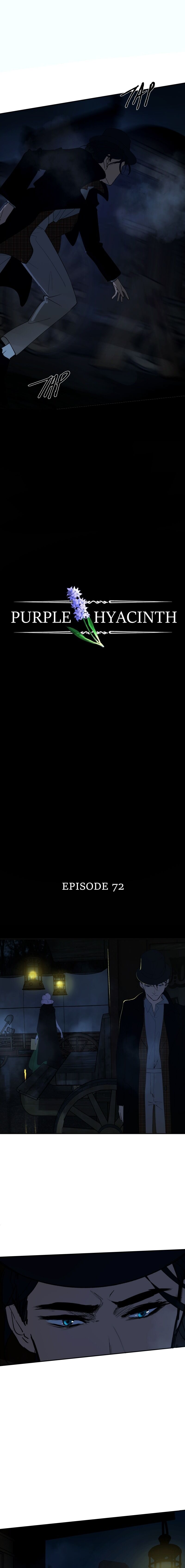 Hoa Lục Bình Tím - Chương 72 - Trang 2