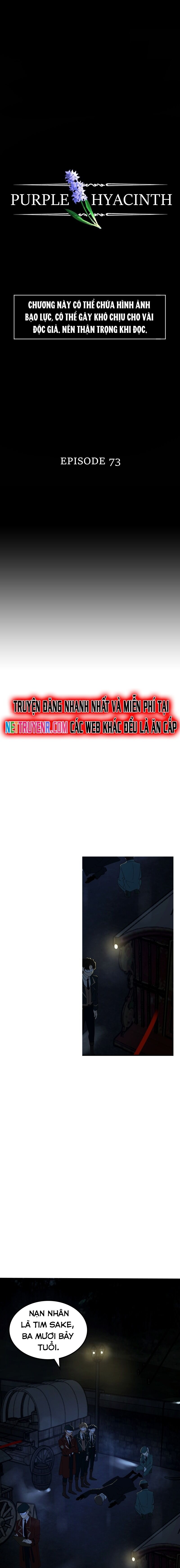 Hoa Lục Bình Tím - Chương 73 - Trang 3