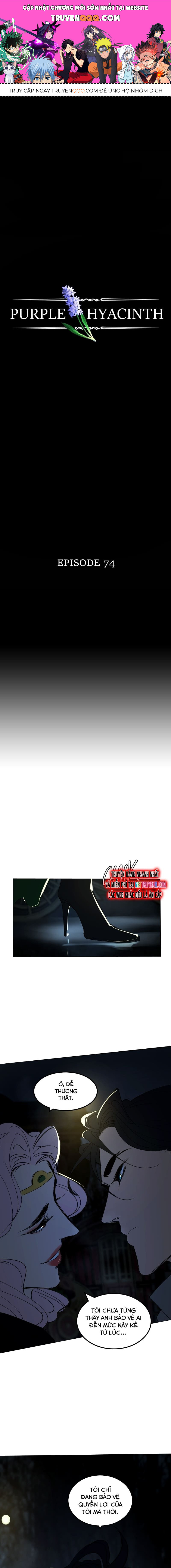 Hoa Lục Bình Tím - Chương 74 - Trang 1