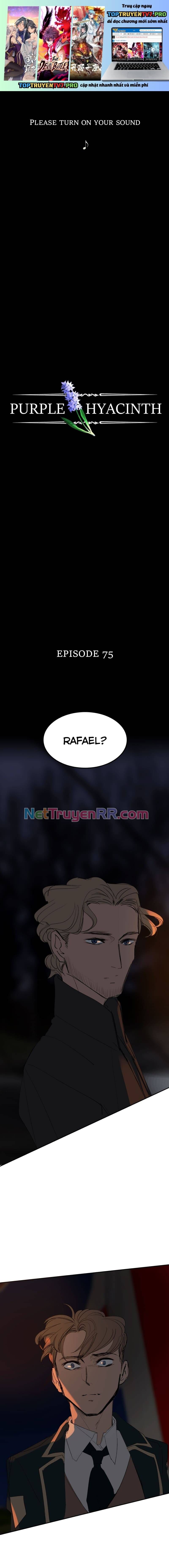 Hoa Lục Bình Tím - Chương 75 - Trang 2