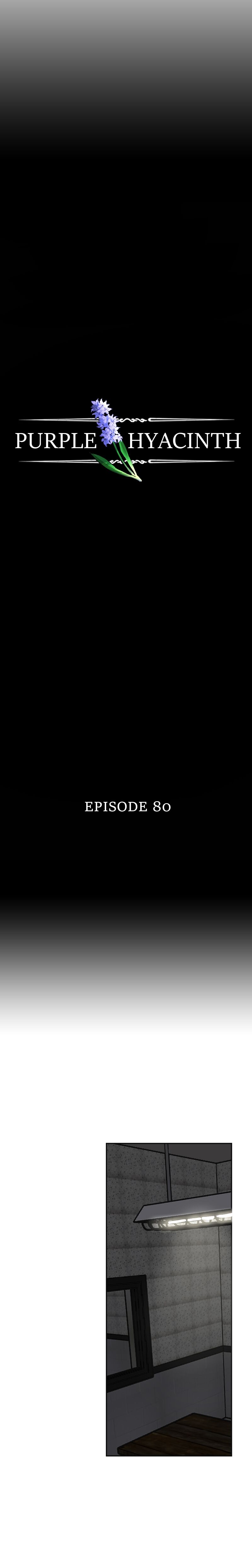 Hoa Lục Bình Tím - Chương 80 - Trang 2