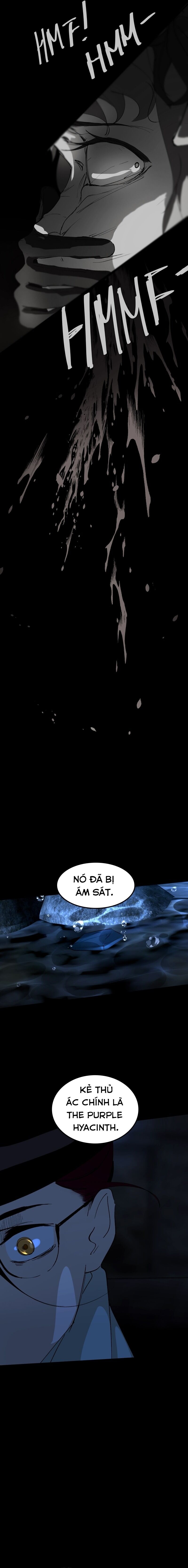 Hoa Lục Bình Tím - Chương 90.1 - Trang 4