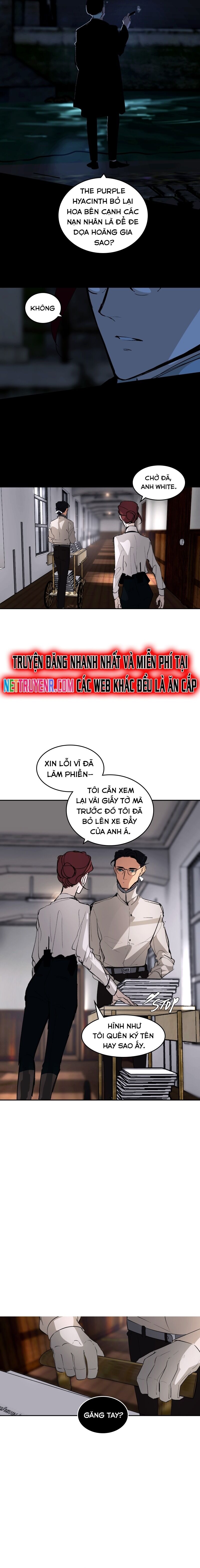 Hoa Lục Bình Tím - Chương 92.1 - Trang 3