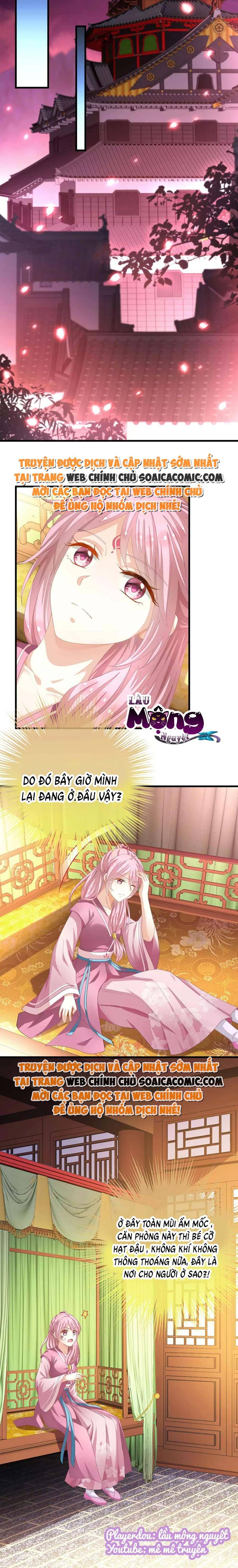 Xuyên Thành Bách Vạn Thiên Kim Phản Công - Chương 4 - Trang 7