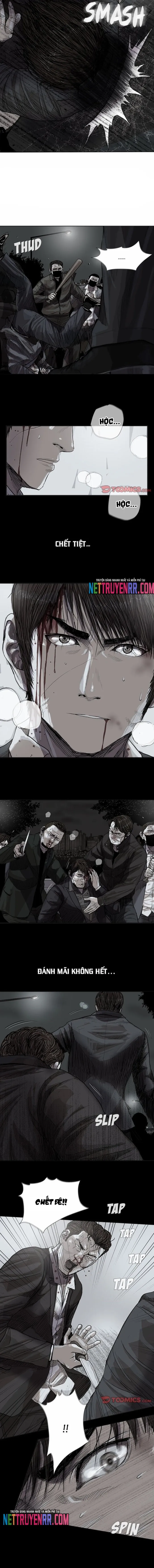 Miền Đất Xanh - Chương 31 - Trang 3