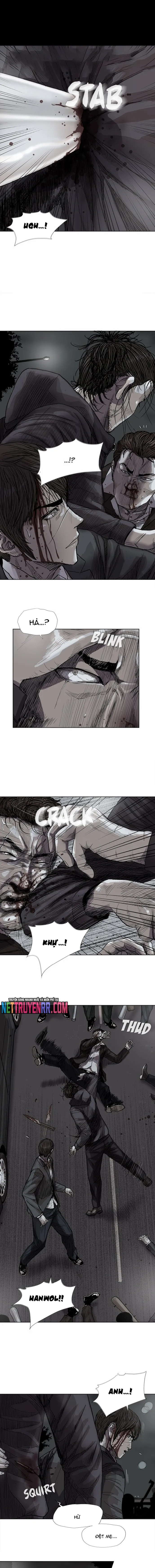 Miền Đất Xanh - Chương 31 - Trang 4