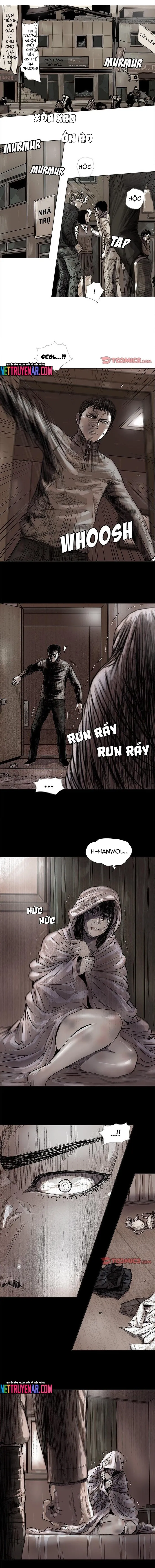 Miền Đất Xanh - Chương 44 - Trang 3