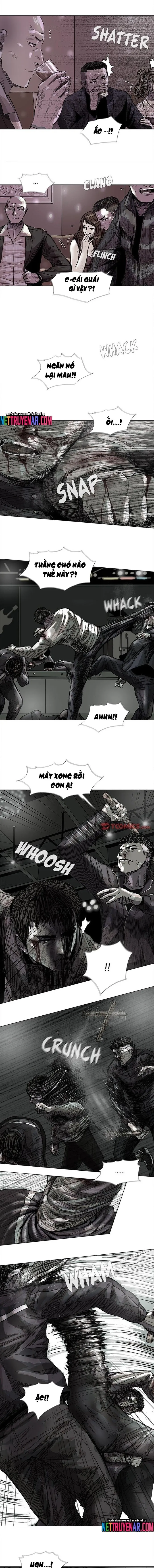 Miền Đất Xanh - Chương 44 - Trang 5