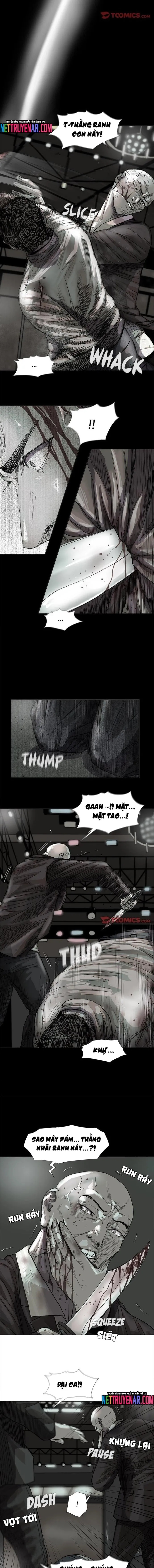 Miền Đất Xanh - Chương 45 - Trang 3