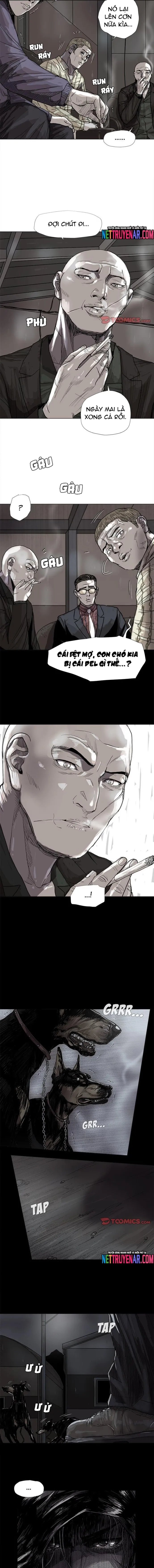 Miền Đất Xanh - Chương 45 - Trang 8