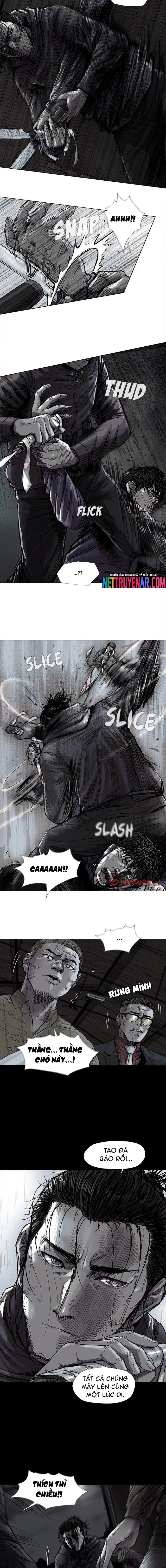 Miền Đất Xanh - Chương 46 - Trang 5