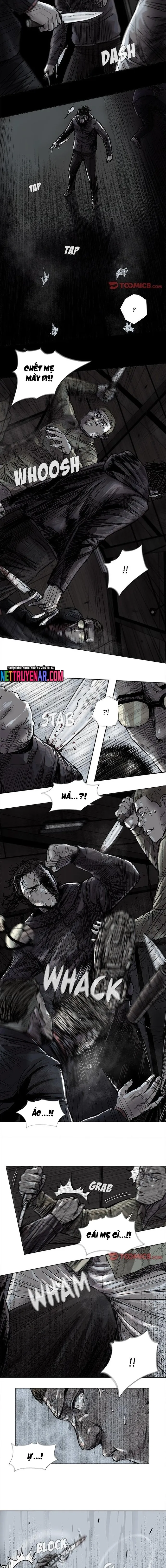 Miền Đất Xanh - Chương 46 - Trang 6