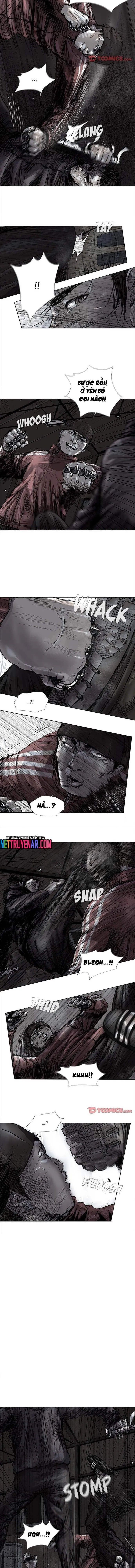 Miền Đất Xanh - Chương 47 - Trang 3