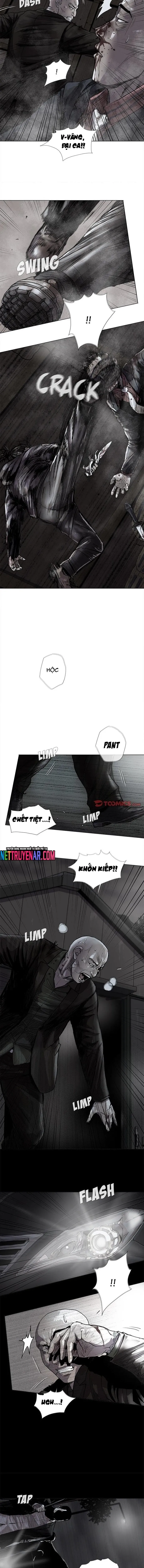 Miền Đất Xanh - Chương 48 - Trang 3