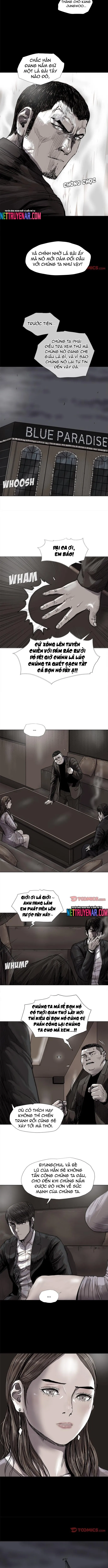 Miền Đất Xanh - Chương 49 - Trang 3