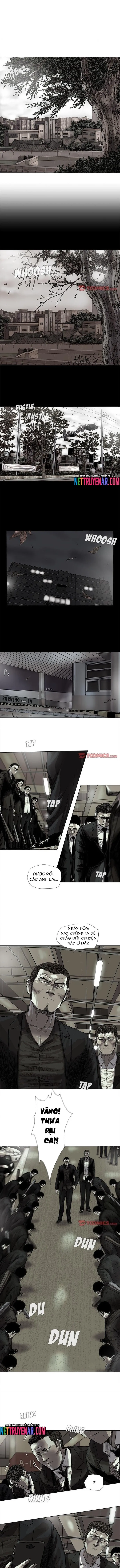 Miền Đất Xanh - Chương 50 - Trang 3