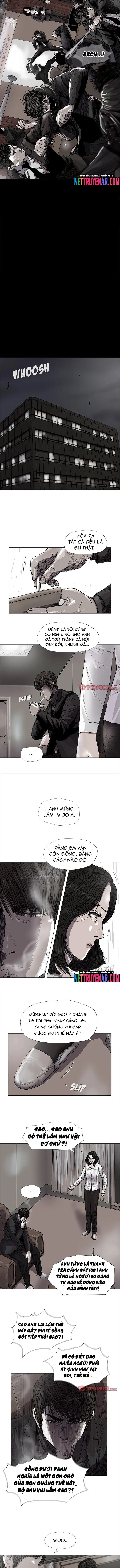 Miền Đất Xanh - Chương 56 - Trang 2