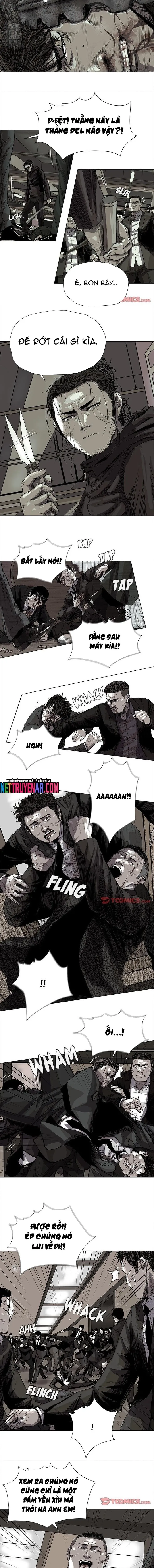 Miền Đất Xanh - Chương 58 - Trang 4