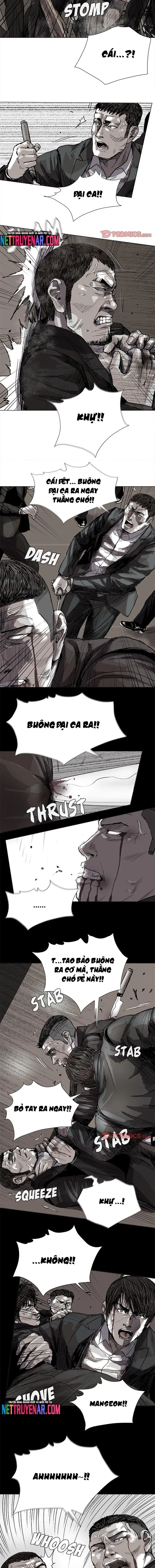 Miền Đất Xanh - Chương 59 - Trang 5