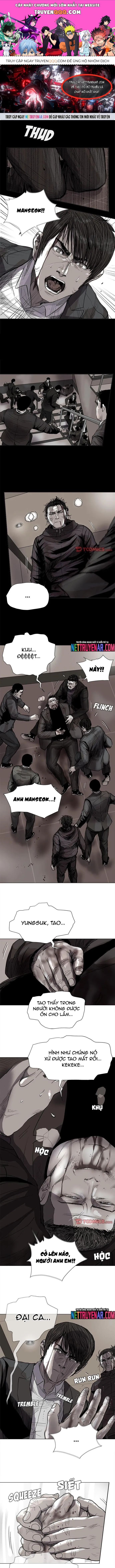 Miền Đất Xanh - Chương 61 - Trang 1