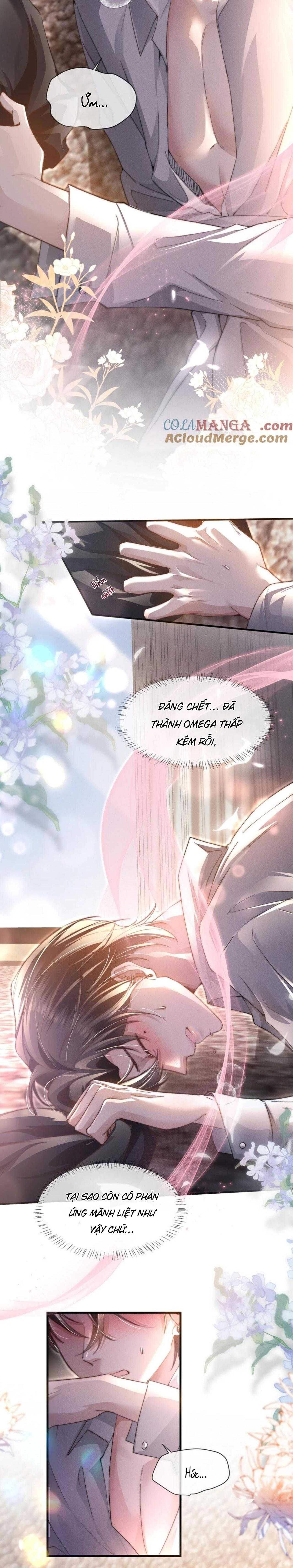 Phép Tắc Nuôi Dưỡng Chó Điên - Chương 11 - Trang 12