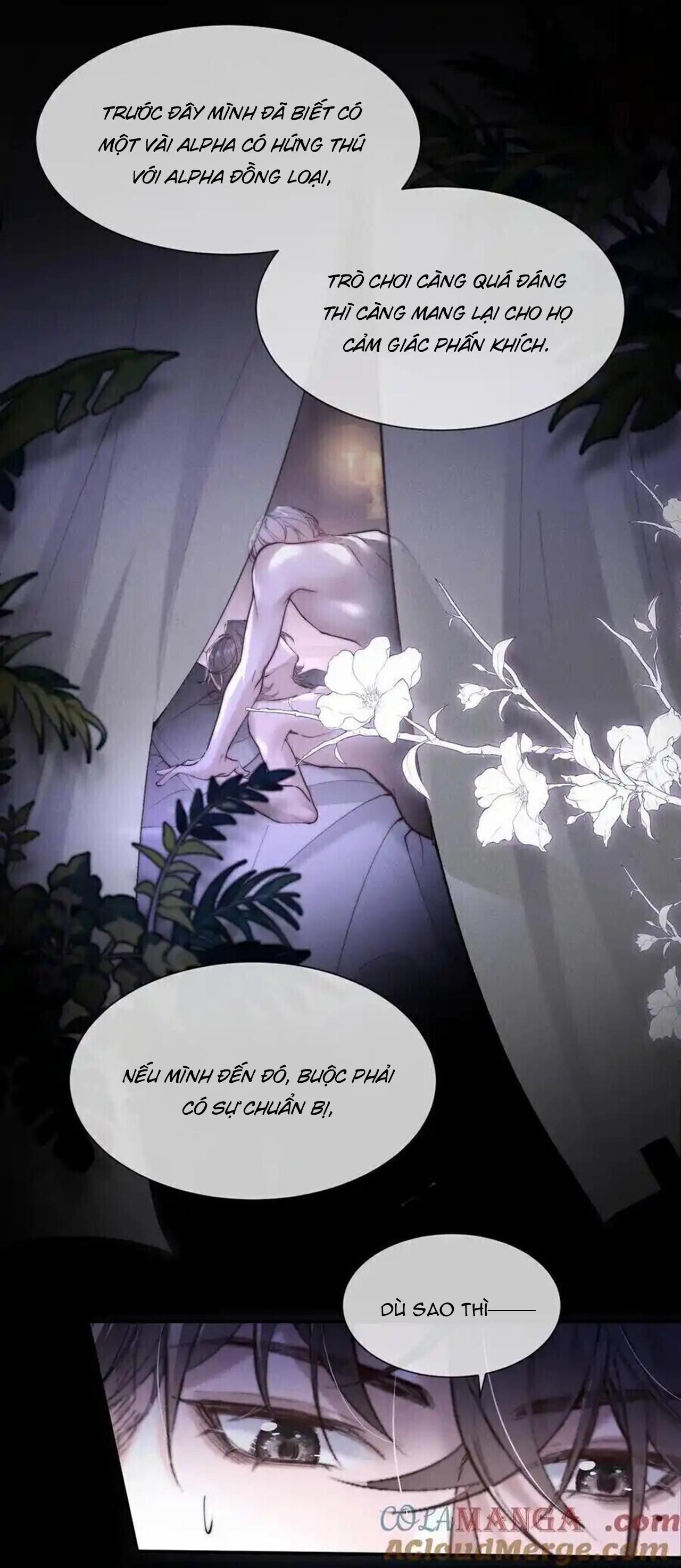 Phép Tắc Nuôi Dưỡng Chó Điên - Chương 16 - Trang 15